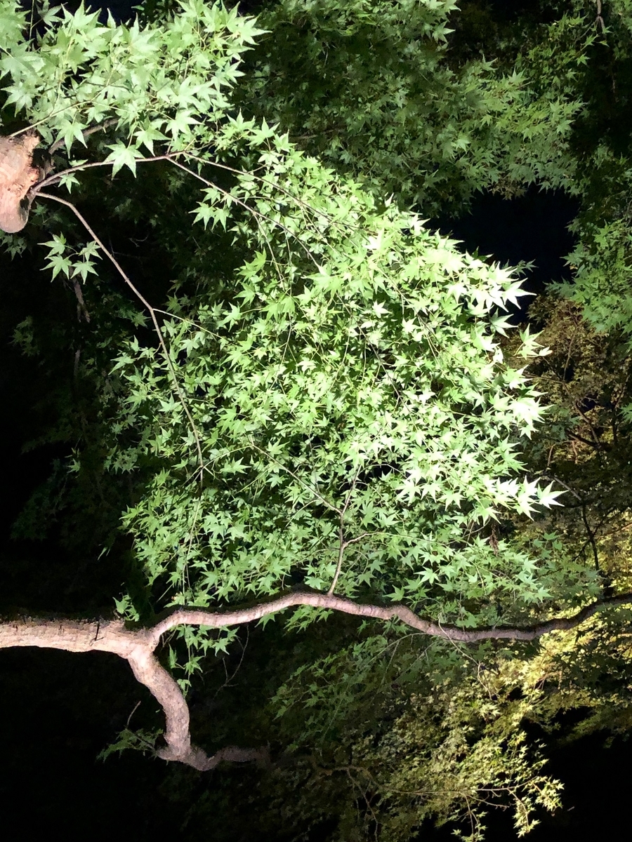 f:id:jimuin310:20191115174321j:plain f:id:jimuin310:20191115174321j:plain