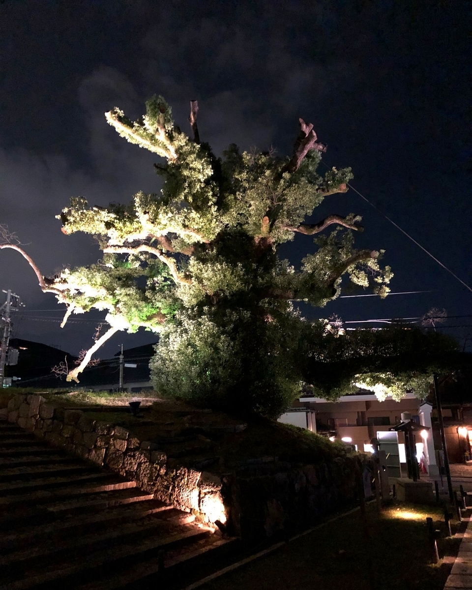 f:id:jimuin310:20191116171510j:plain f:id:jimuin310:20191116171510j:plain