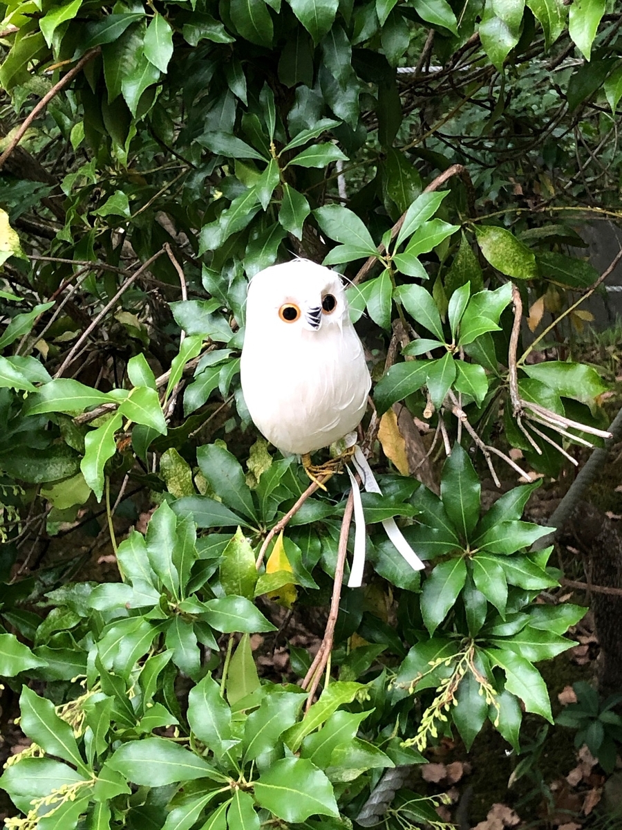 f:id:jimuin310:20191118174901j:plain f:id:jimuin310:20191118174901j:plain