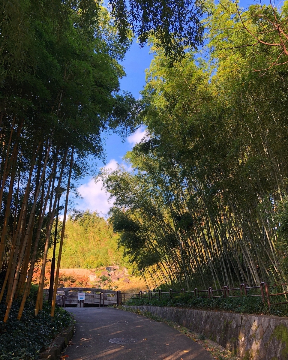 f:id:jimuin310:20191126104300j:plain f:id:jimuin310:20191126104300j:plain