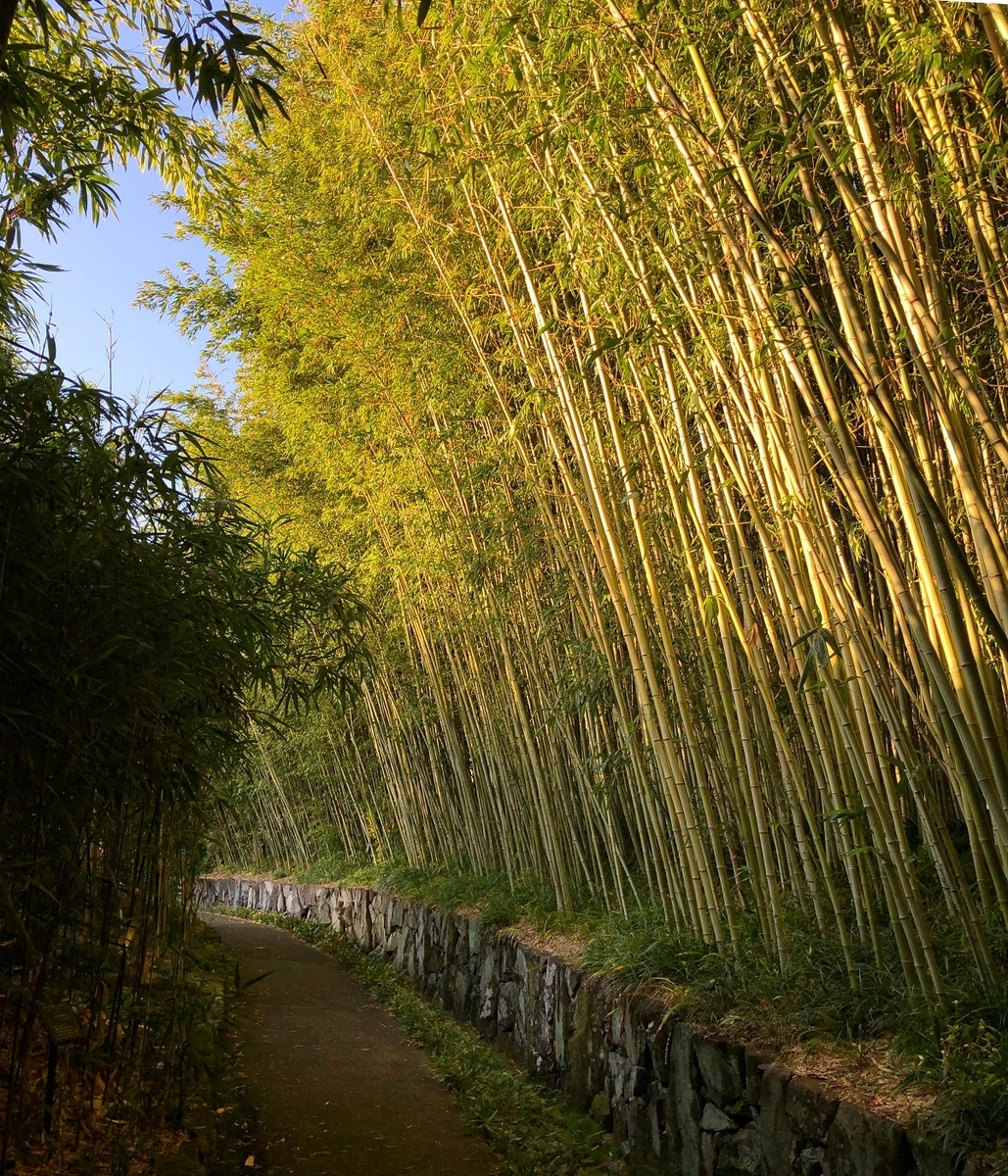 f:id:jimuin310:20191128163347j:plain f:id:jimuin310:20191128163347j:plain