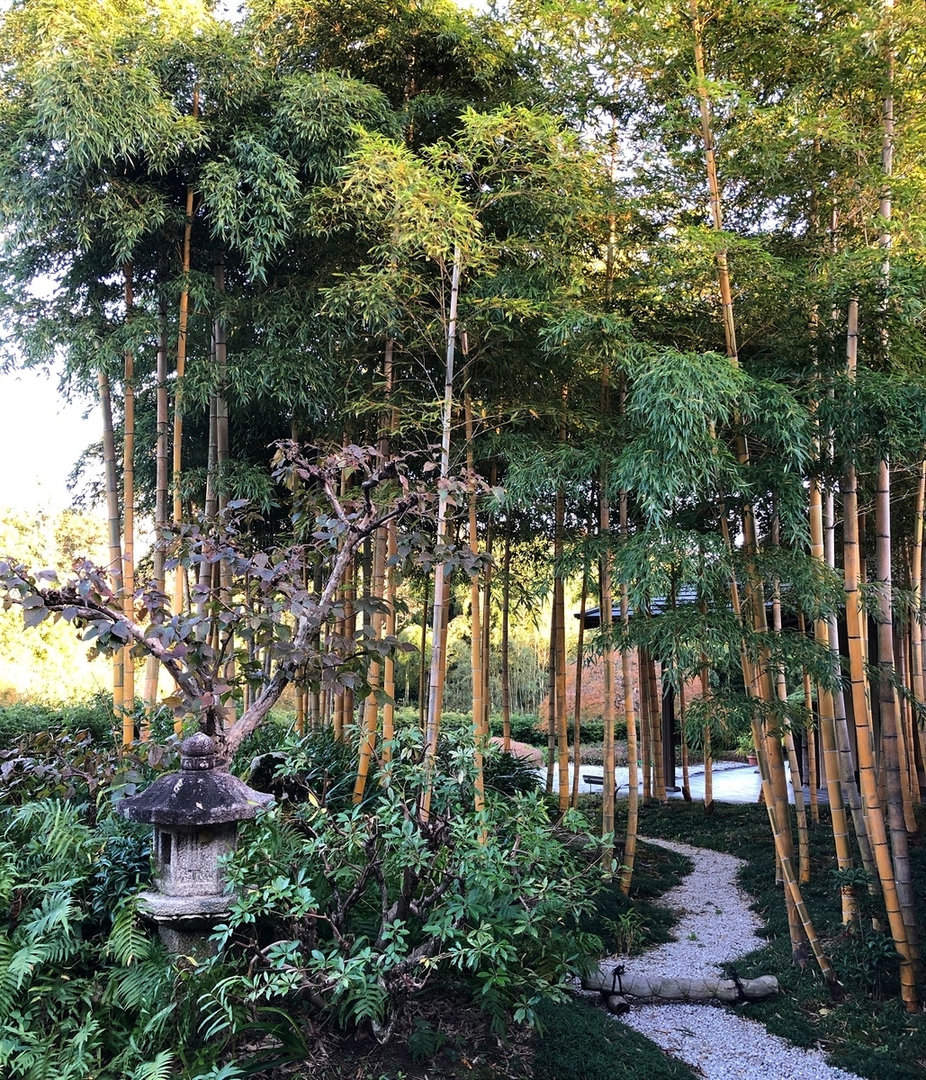 f:id:jimuin310:20191128163355j:plain f:id:jimuin310:20191128163355j:plain