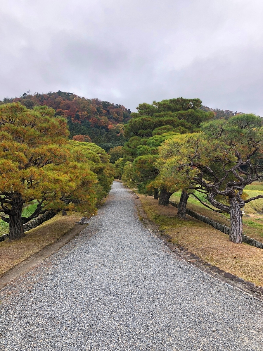 f:id:jimuin310:20191202163108j:plain f:id:jimuin310:20191202163108j:plain