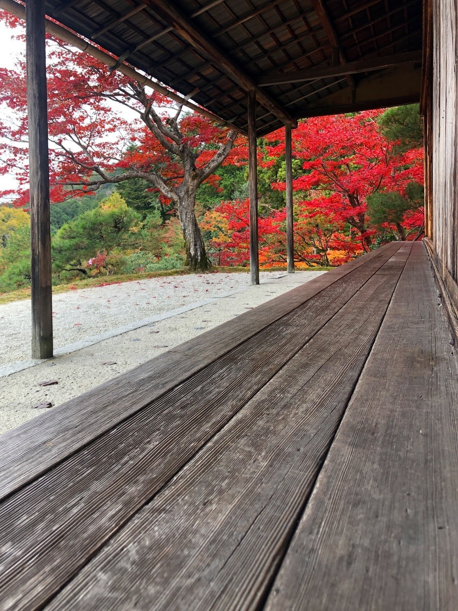 f:id:jimuin310:20191203161136j:plain f:id:jimuin310:20191203161136j:plain