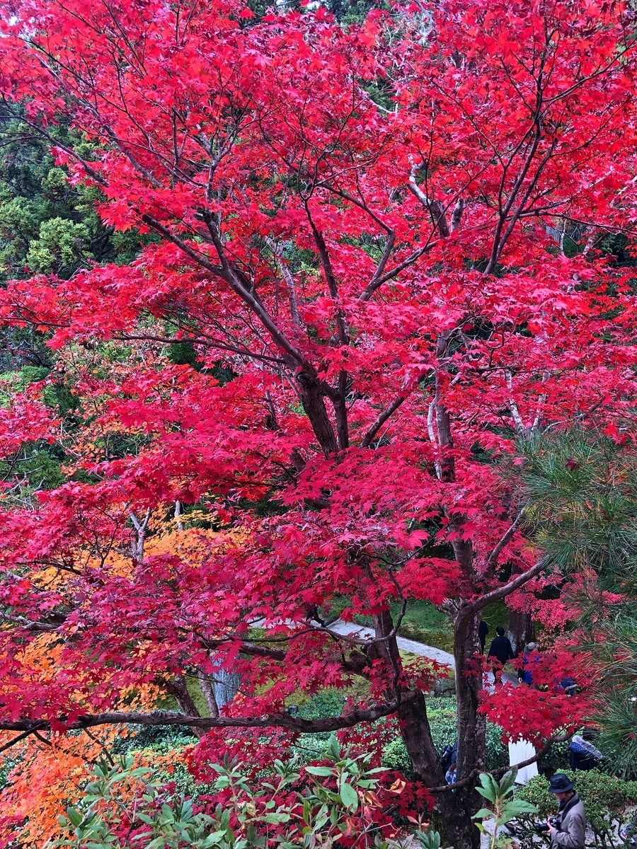 f:id:jimuin310:20191203161140j:plain f:id:jimuin310:20191203161140j:plain