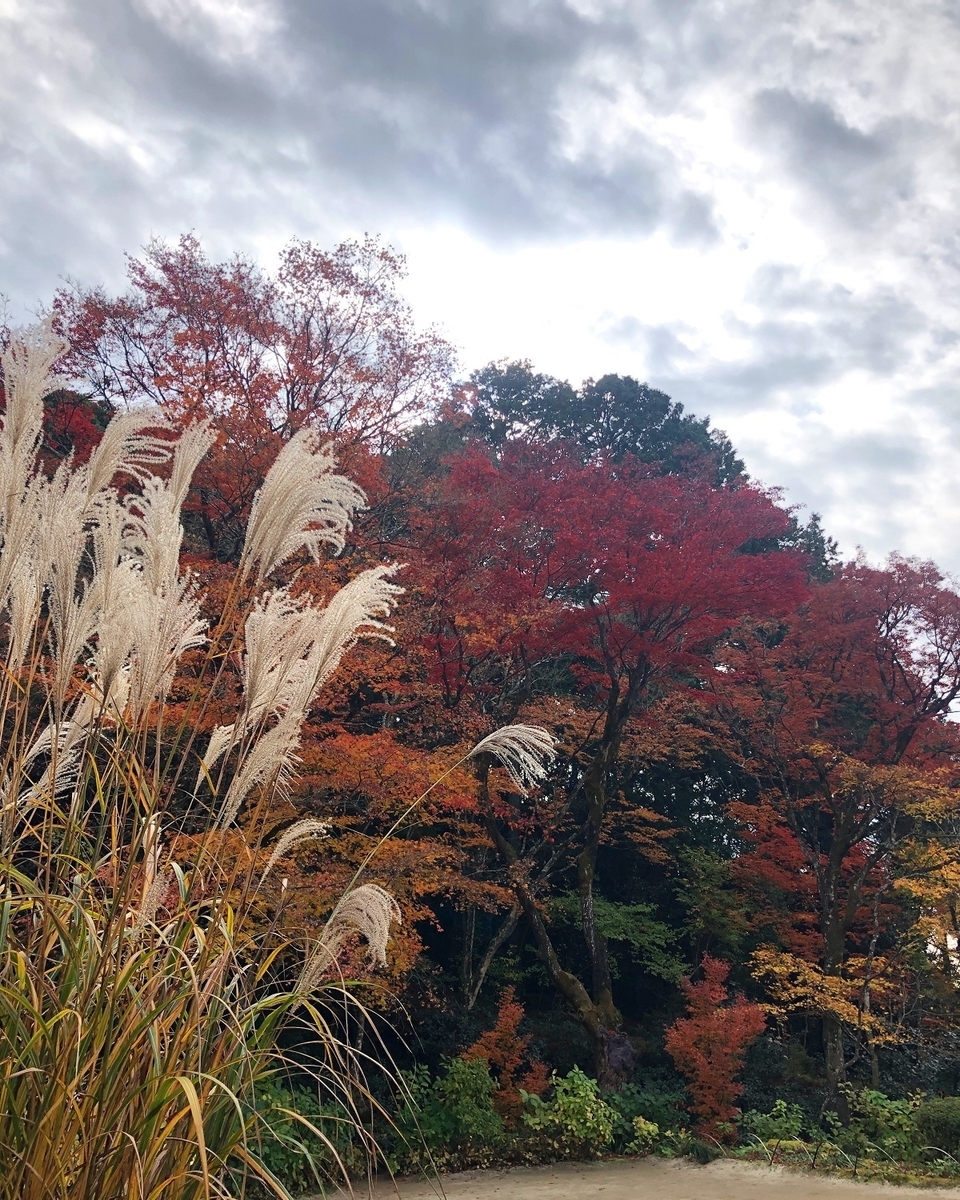f:id:jimuin310:20191224172750j:plain f:id:jimuin310:20191224172750j:plain