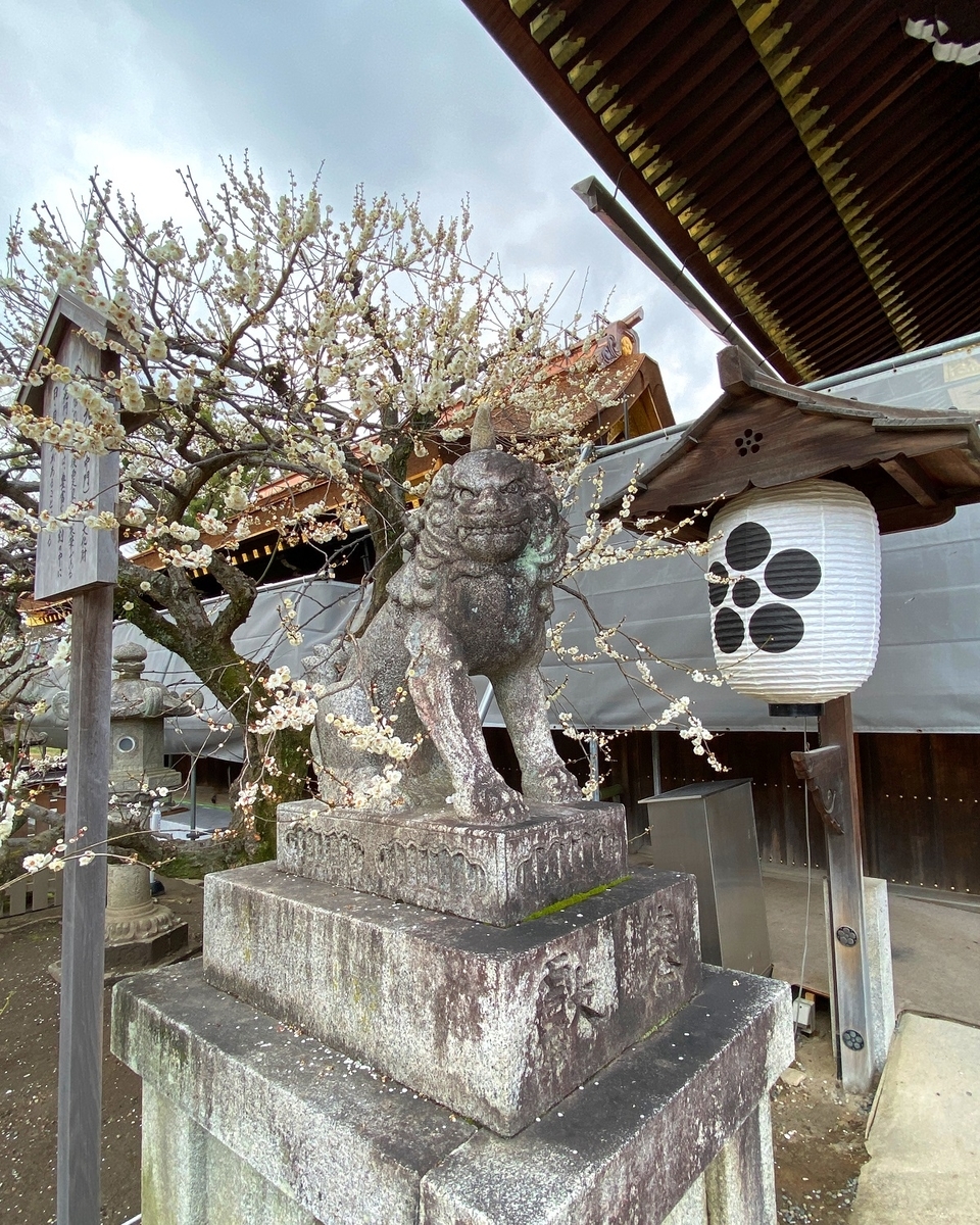 f:id:jimuin310:20200220151428j:plain f:id:jimuin310:20200220151428j:plain