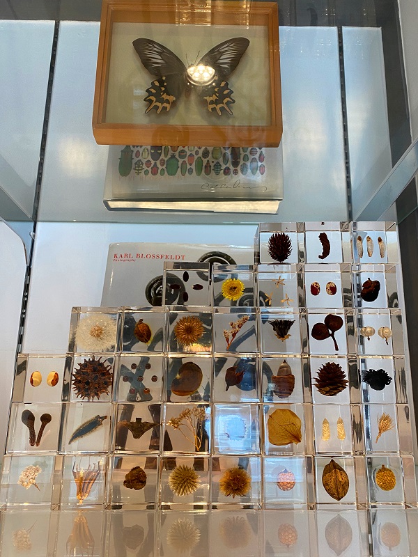 f:id:jimuin310:20200515165141j:plain f:id:jimuin310:20200515165141j:plain