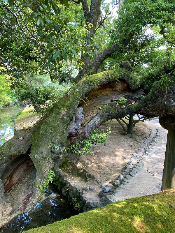 f:id:jimuin310:20200710150527j:plain f:id:jimuin310:20200710150527j:plain