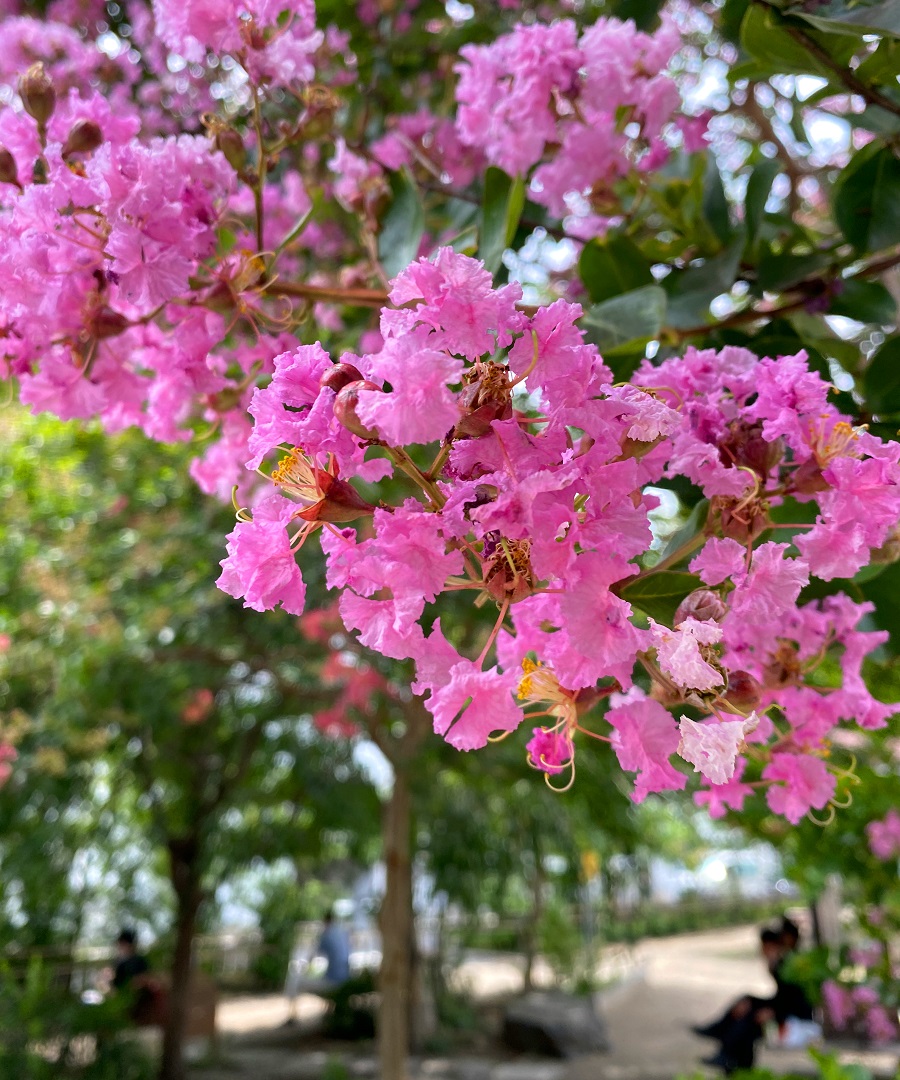 f:id:jimuin310:20200807162632j:plain