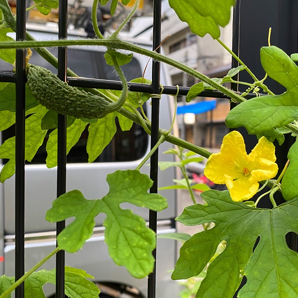 f:id:jimuin310:20200907165425j:plain