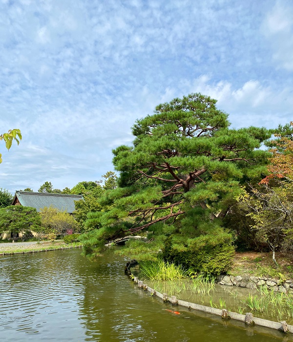 f:id:jimuin310:20201003111926j:plain f:id:jimuin310:20201003111926j:plain