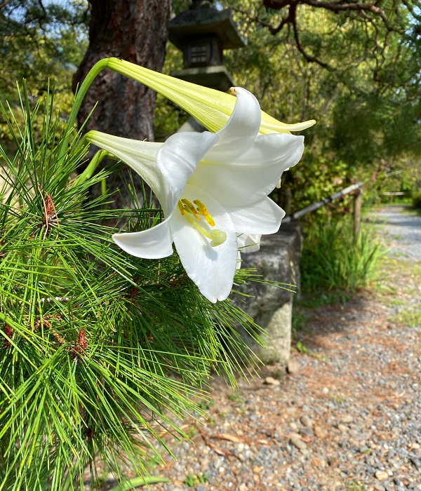 f:id:jimuin310:20201003111931j:plain f:id:jimuin310:20201003111931j:plain