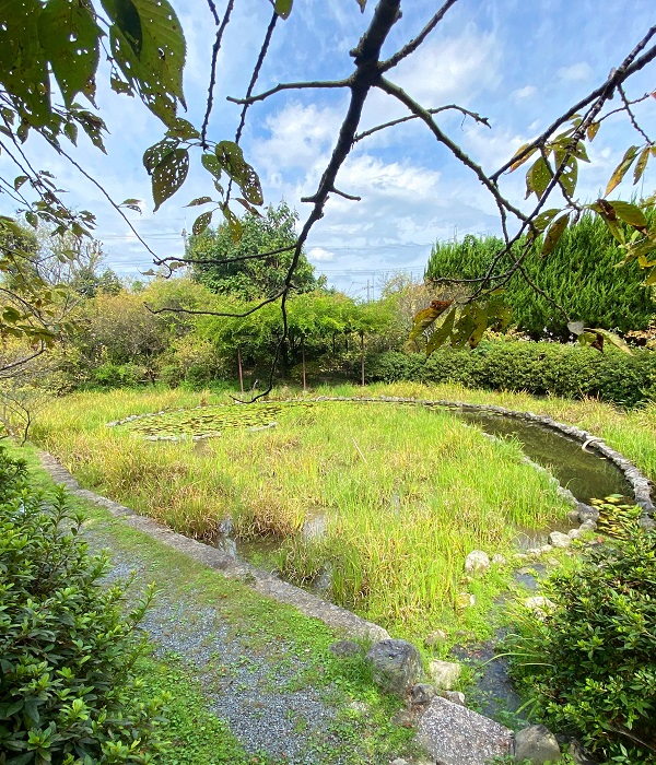 f:id:jimuin310:20201003145317j:plain f:id:jimuin310:20201003145317j:plain