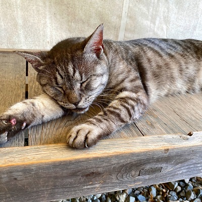 f:id:jimuin310:20201005172707j:plain f:id:jimuin310:20201005172707j:plain