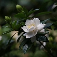 f:id:jimuin310:20210129104521j:image:h240:left