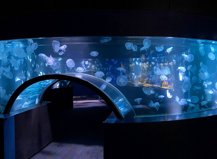 f:id:jimuin310:20210826163006j:plain