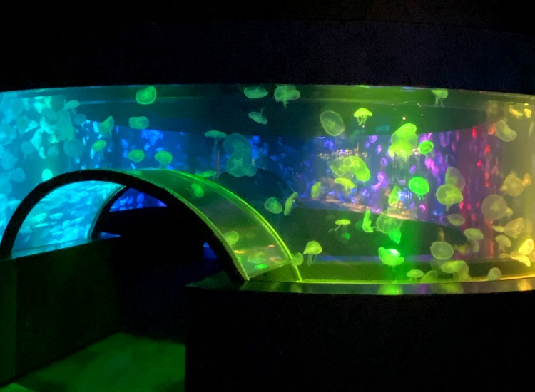 f:id:jimuin310:20210826163035j:plain