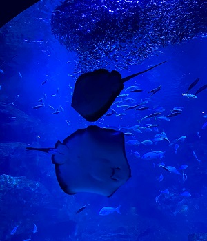 f:id:jimuin310:20210907112553j:plain