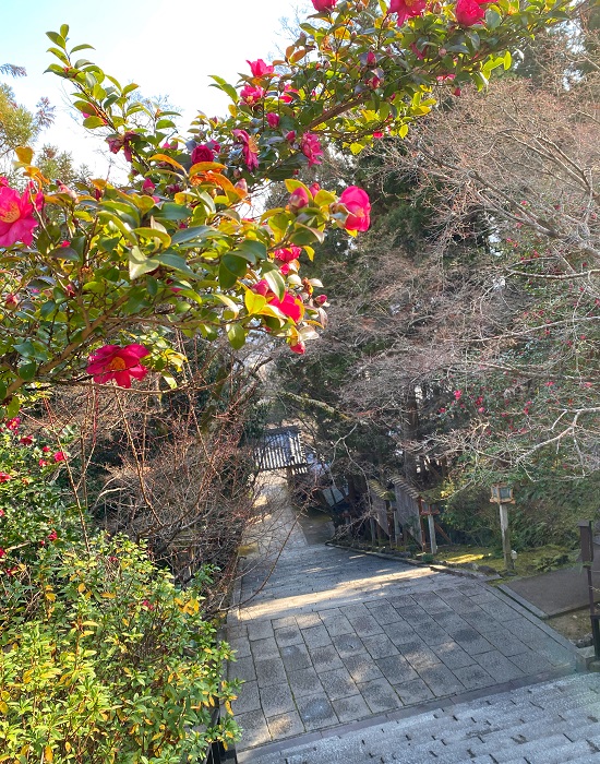 f:id:jimuin310:20220205174444j:plain