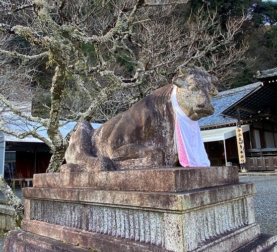 f:id:jimuin310:20220219160138j:plain