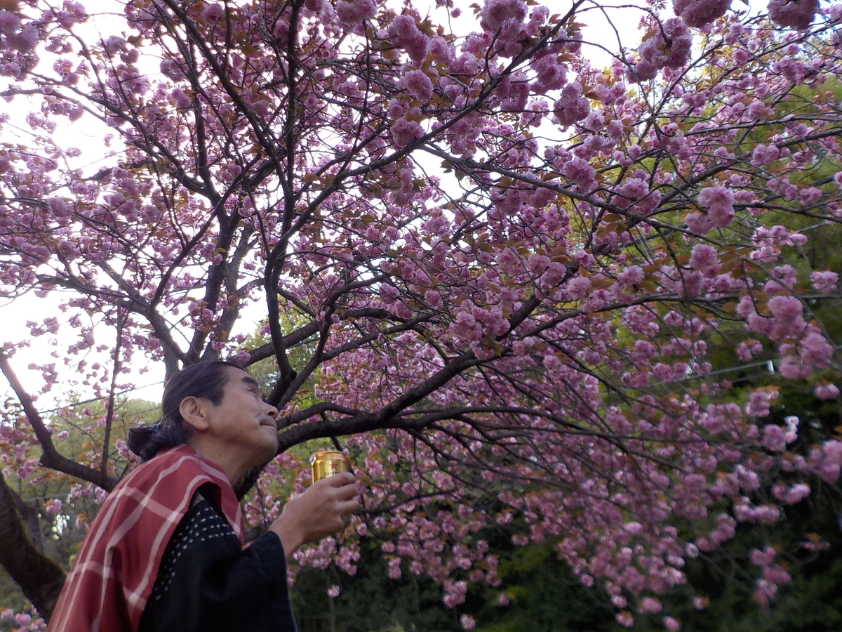 f:id:jin-daiji:20220416195121j:plain