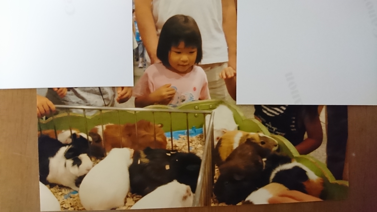 f:id:jin-mtk:20200728183445j:plain