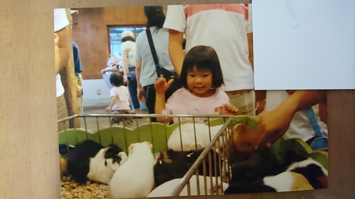 f:id:jin-mtk:20200728183755j:plain