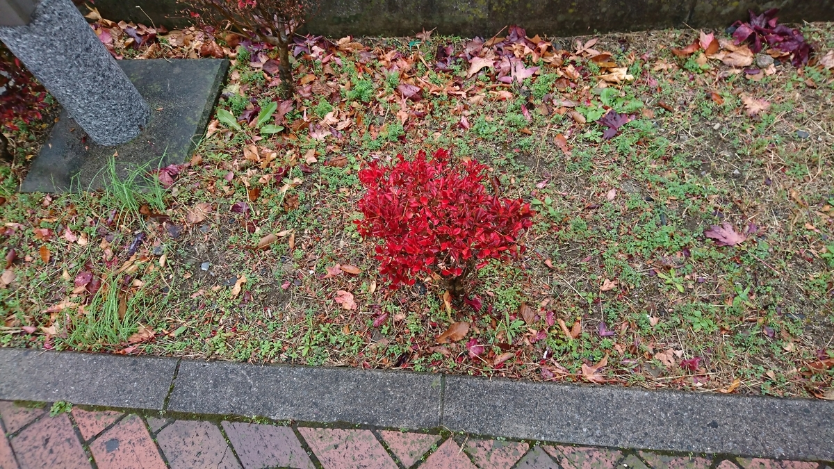 f:id:jin-mtk:20201203211302j:plain