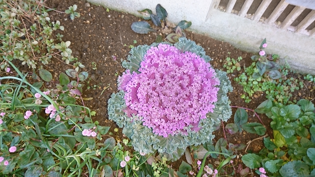 f:id:jin-mtk:20201211170717j:plain