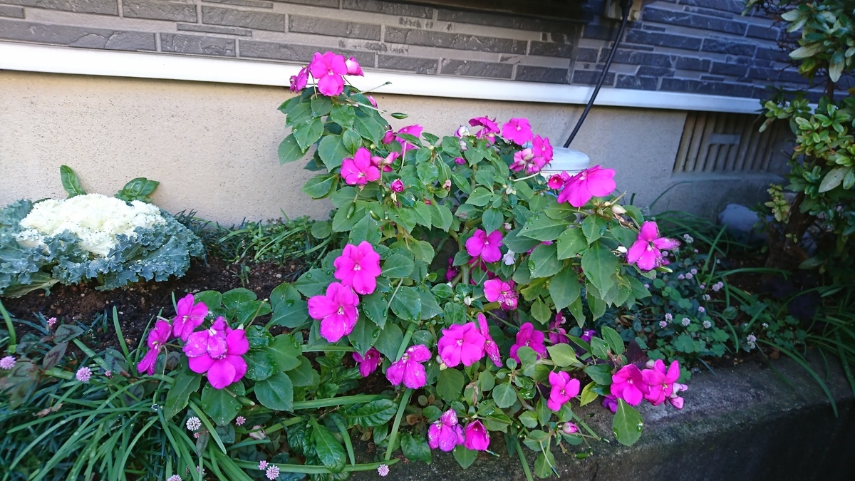 f:id:jin-mtk:20201211170835j:plain