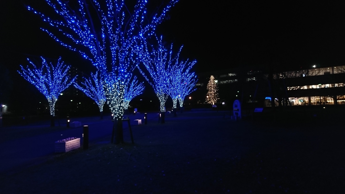 f:id:jin-mtk:20210131215045j:plain