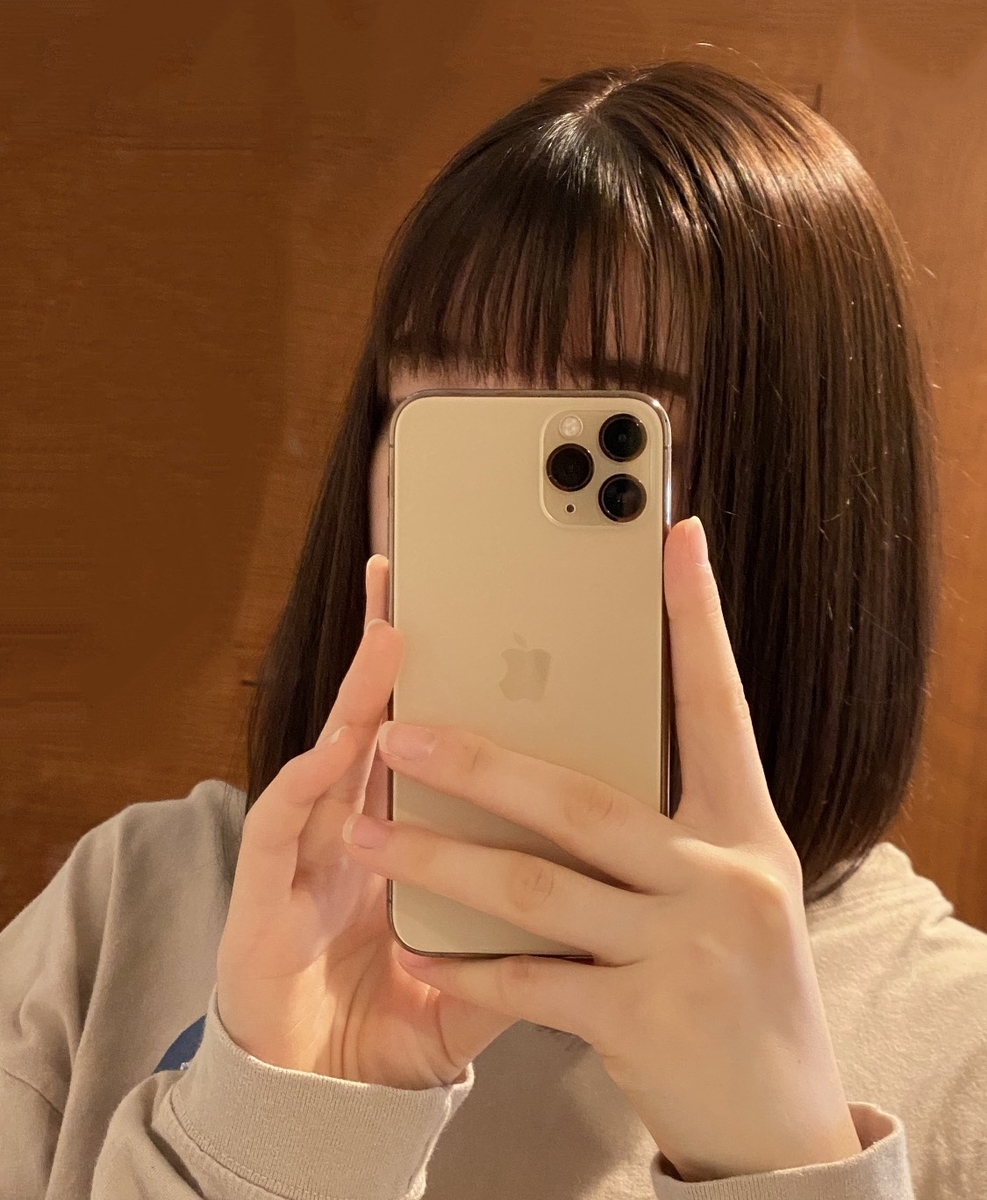 f:id:jin-mtk:20210327214518j:plain