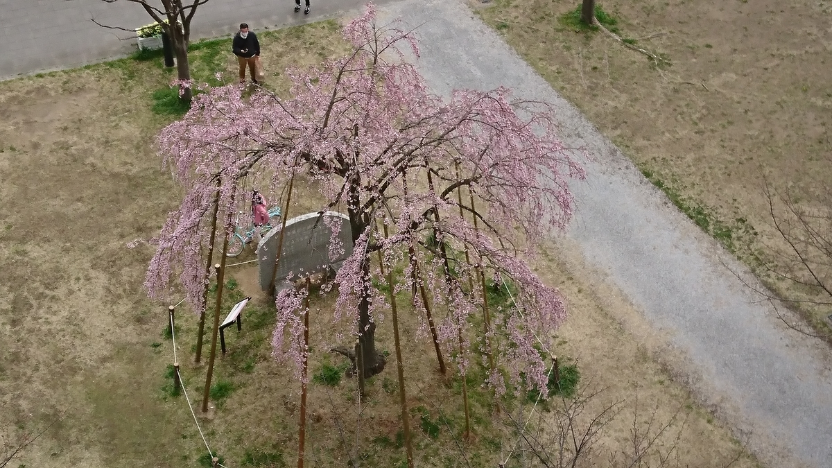 f:id:jin-mtk:20210327215329j:plain