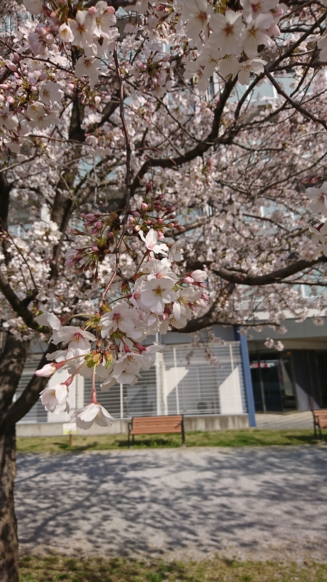 f:id:jin-mtk:20210327225326j:plain