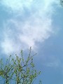 [空]