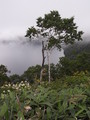 [北海道][風景]