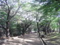 [公園]飛鳥山公園