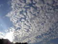 [空]