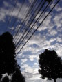 [空]