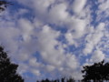 [空]