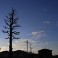 [空]