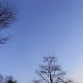 [空]