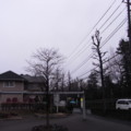 [公園]