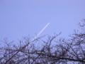 [空]