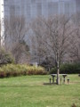 [公園]