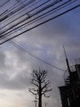 [空]