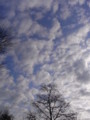 [空]