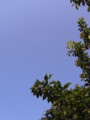 [空]