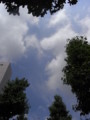 [空]